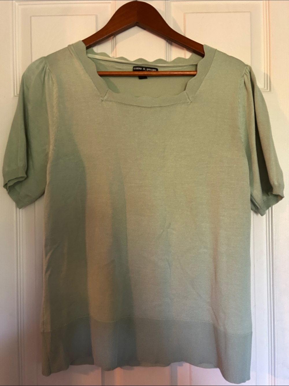 Cable & Gauge Soft Mint Short-Sleeve Knit Top